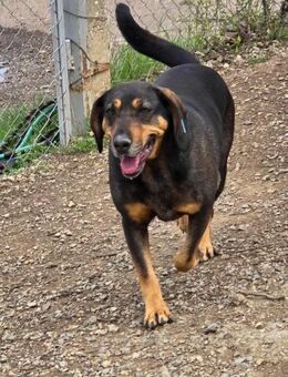 Sanfte HILDA bereit fürs FAMILIENGLÜCK♥️ - München