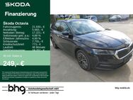 Skoda Octavia, 1.5 TSI Combi Ambition Octavia Combi Amb, Jahr 2020 - Freudenstadt