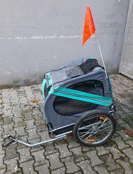 Fahrradhundeanhänger - Bad Reichenhall
