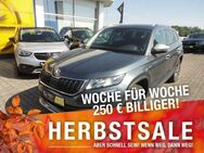 Skoda Kodiaq Scout 4x4 2.0 TDI Alu Navi FSE Klimaautomatik - Marktredwitz