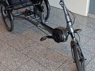 Dreirad E-Bike pfautec scoobo/Gelegenheit - Langenfeld (Rheinland)
