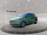 Skoda Fabia, 1.0 MPI Cool Plus, Jahr 2019 - Bad Arolsen