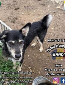 BANDIT-bereit dein Herz zu stehlen - Waakirchen