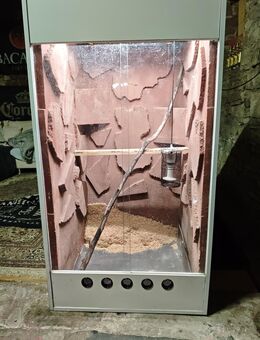 Terrarium mit Heat Panel - Thüngersheim