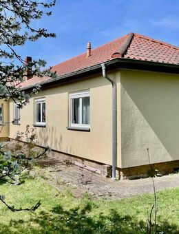 Grüne Oase mit überdachtem Pool - Bungalow auf großzügigem Grundstück in Heidenau! - Heidenau (Sachsen)