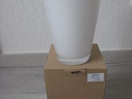 NEU - Conical Vase mit Karton - Neuss