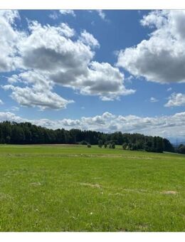 NATUR PUR ! Einfamilienhaus mit Alpenblick - in idyllischer Umgebung - Königsdorf
