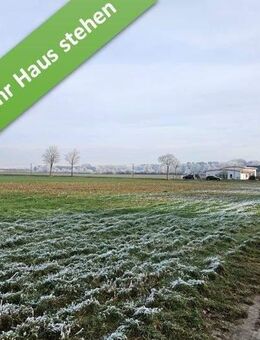 Familienleben auf einer Ebene in Knesebeck. - Wittingen