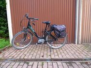 E-Bike von Privat - Herne