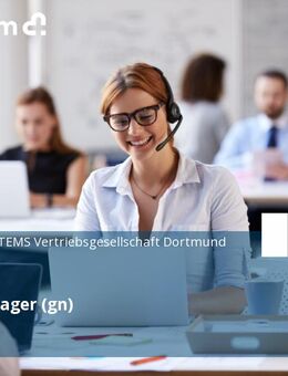 Sales Manager (gn) - Dortmund