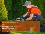 Florist (m/w/d) in Recklinghausen - Recklinghausen