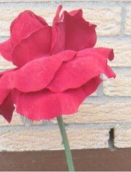 Deko künstliche Rose stehend Höhe ca. 110cm Durchmesser ca. 25cm - Siegen (Universitätsstadt)