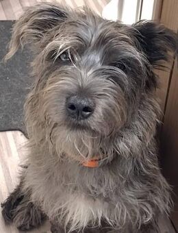 Murphy - Lorsch (Karolingerstadt)