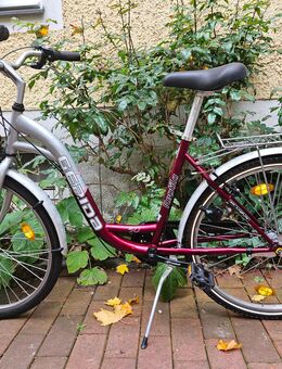 Schönes 26 er Damen Cityrad 3 Gang mit Rücktritt Tiefeinsteiger Carbon Steel TOP - München