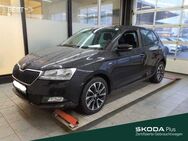 Skoda Fabia, 1.0 TSI Ambition Drive 125, Jahr 2020 - Mühlheim (Main)