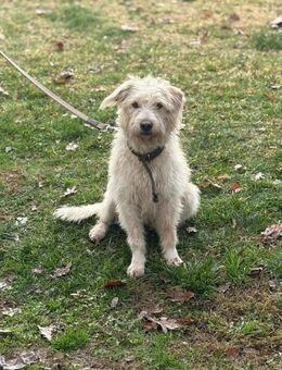 Kleine Kämpferin- Rina - Ellerbek