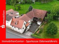 Kleiner Bauernhof mit viel Stauraum - optimal für Ihr Gewerbe / Bastler / Schrauber - - Michelstadt
