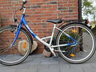 Fahrrad Pegasus 26 Zoll - Bunde