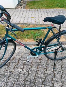Cityrad 28 Zoll mit Zubehör - Trier