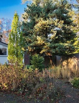 Familienparadies im Architektenhaus sucht neue Besitzer! - Wedel