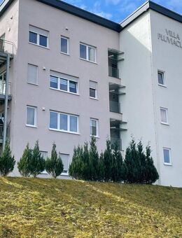 Moderne und neuwertige Eigentumswohnung mit überdachter Terrasse und kleinem Garten in Pluwig - Pluwig