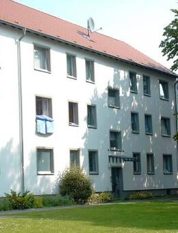 Renovierte 4-Zimmer-Wohnung in Ahlen - Ahlen