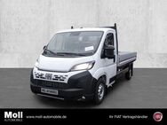 Fiat Ducato, Pritsche 35 L3 140 Maxi Techno Plus-Premium Kabine Visibility Paket, Jahr 2024 - Köln