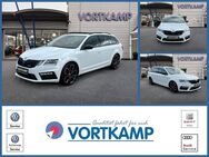 Skoda Octavia, Combi CANTON, Jahr 2020 - Gronau (Westfalen)