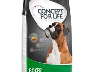 12 kg Concept for Life zum Sonderpreis! - Boxer