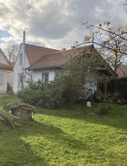 Zwei charmante Häuschen: Einfamilienhaus + Tiny House im idyllischen Garten - ruhige Lage. - Dresden