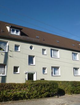 1. Kaltmiete frei ! - Sanierte 2 Raum Wohnung mit Garten - Bad Düben