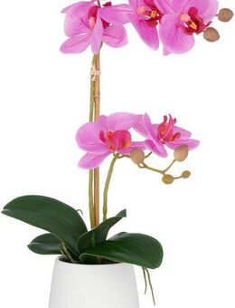 Kunstorchidee Orchidee Phalaenopsis, Creativ green, Höhe 50 cm, mit dauerhafter Blütenpracht