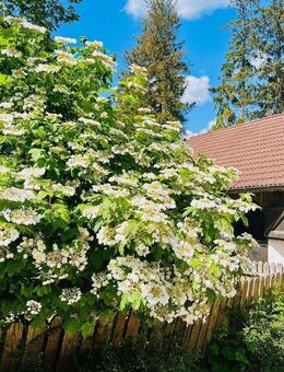 Absolut ruhig gelegen, stark im Konzept – Gutshofromantik mit Fokus auf artgerechte Pferdehaltung und Sport V12802 - Stockach