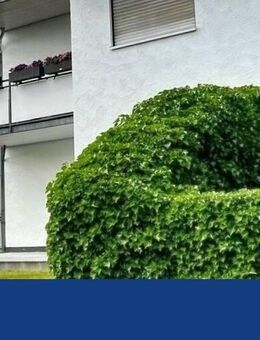 Ruhiges Wohnen im Grünen - Ihre neue 3-Zimmer-Wohlfühloase! - Lohmar