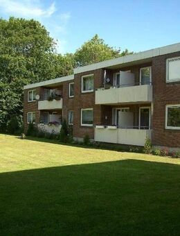 2 Zimmer in Niebüll - Niebüll