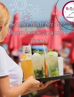 Erfahrene Servicekraft gesucht- mit Herz, Charme & Tablett - Dresden