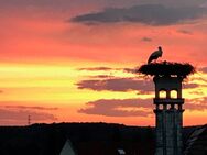 Wir suchen für vorgemerkte Kunden Häuser, Wohnungen und Grundstücke - Heroldsbach