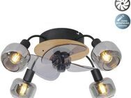 näve Deckenleuchte Fumoso Deckenventilator, Ventilatorfunktion, ohne Leuchtmittel, Deckenlampe, Ventilator, Fernbedienung, 4flg., E14 exkl., Glasschirme