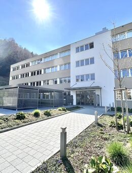 2 Räume für Studio/ Büro zu vermieten 350.- - Emmenbrücke