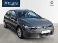 VW Golf, 1.5 TSI Life, Jahr 2020 - Amelinghausen