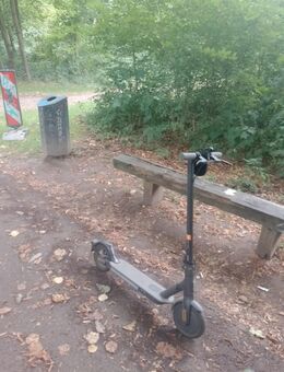 E-Scooter zu verkaufen 200 € verhandelbar - Dormagen