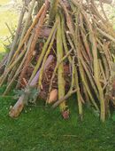 Stammholz an Selbstabholer in Edermünde zu verschenken in 34225