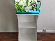 Aquarium fluval flex 57l komplettes Set mit Unterschrank - Unna