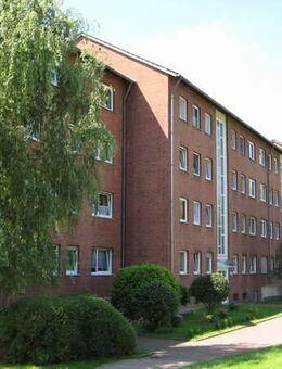 2-Zimmer-Wohnung in Werl - Werl