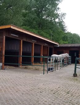 Paddockbox/Innenbox/Außenbox/Weidegang - Wehrheim