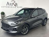 Ford Kuga 2.5 Plug-In Hybrid ST-Line NAV+LED+PANO+1Hd - Wardenburg