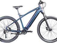 AGON E-Bike Mountainbike Alpha, 10 Gang Deore SGS T6000 Schaltwerk, Kettenschaltung, Heckmotor, 540 Wh, Pedelec, Elektrofahrrad für Damen u. Herren, MTB