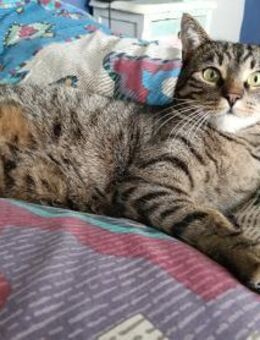 Dankbarer Logan (ALO) - Geisenheim