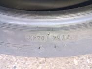 4 Sommerreifen 195/55R16 Michelin - Hechingen