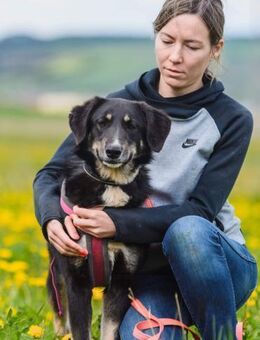 Blümchen- freundlich und offen - Süderholz